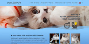 Strona hodowli kotów Syberyjskich Neva Masquarade