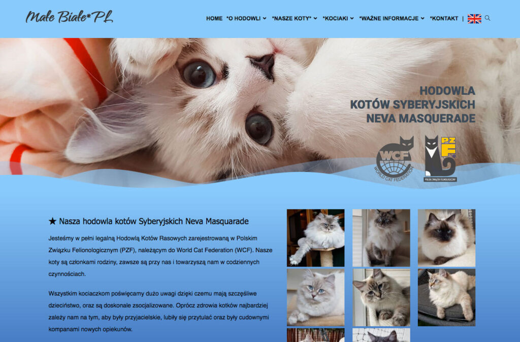 Strona internetowa hodowli kotów rasowych
